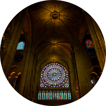 Notre-Dame Parijs - 2 van Damien Franscoise