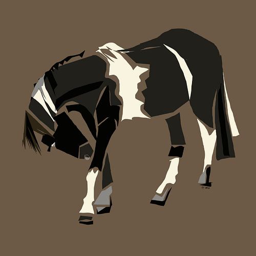 Pinto paard van Go van Kampen