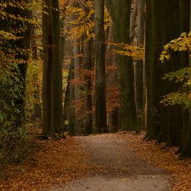 Der Weg von Leontien van der Linden - Wapenaar