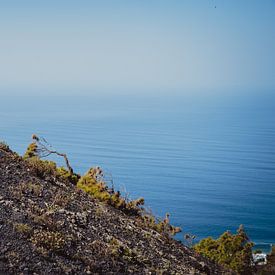 Partie du paysage situé autour du volcan San Antonio (2) | La Palma sur Rob van der Pijll