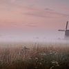 Nebel im Polder von Klazina van den Herik