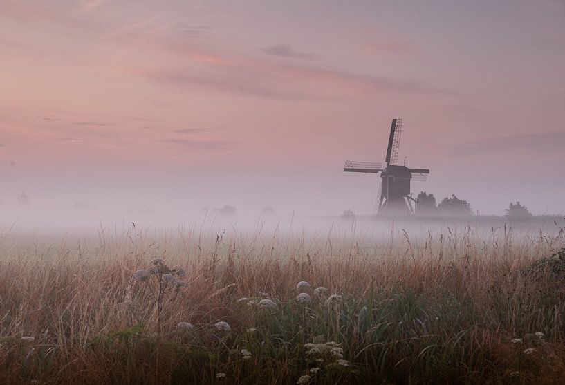 Brouillard dans le polder par Klazina van den Herik