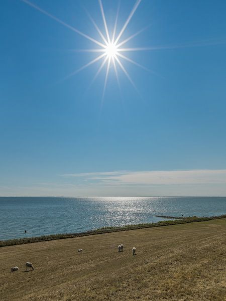 IJsselmeer dijk in Gaasterland en de zon als ster von Harrie Muis