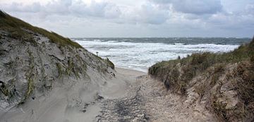  Dünen von Texel von Ronald Timmer