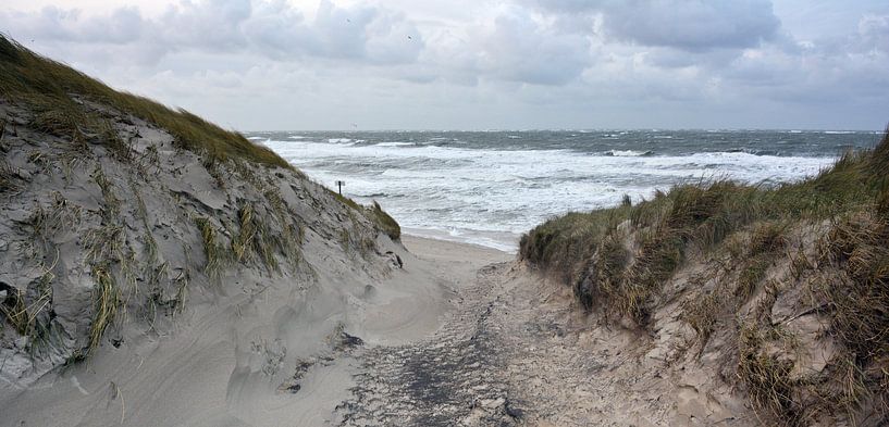 Duinen Texel van Ronald Timmer