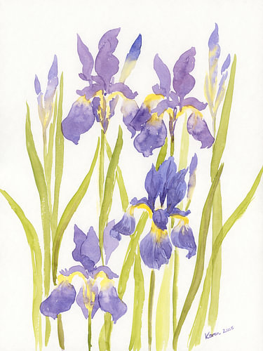 Blaue Iris Sibirica von Karen Kaspar