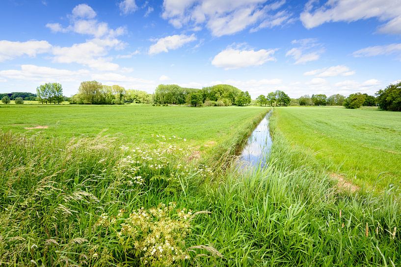 Holländischer Polder im Frühjahr von Ruud Morijn