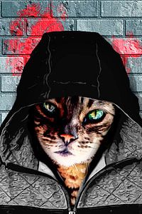 Bad ass cat
