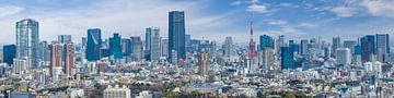 Großartiges Panorama aus Tokio