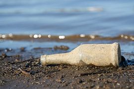 empty bottle on the bank of the river Elbe near Magdeburg by Heiko Kueverling