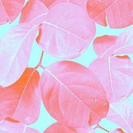 Bladibla Kids Illustrations Profilfoto