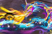 Street Art De Berenkuil "Step in The Arena" ; Eindhoven