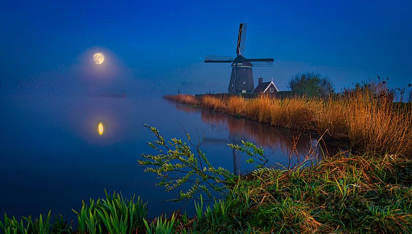 Full moon, super moon in the Twiske, Amsterdam by Rietje Bulthuis