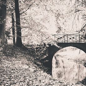Bij kasteel Hackfort van Ada Zyborowicz