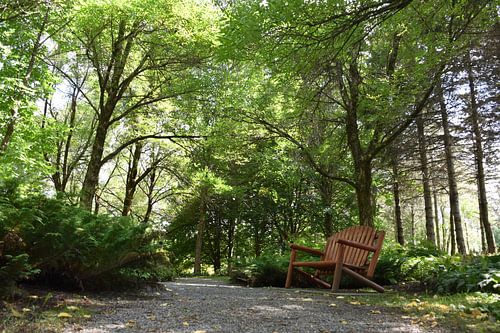 Een parkpad in de zomer