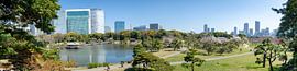 Hamarikyu Gardens in Tokyo by Mylène Amoureus