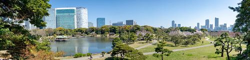 Hamarikyu Gardens in Tokyo