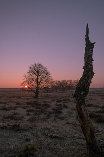 Zonsopkomst Deelerwoud