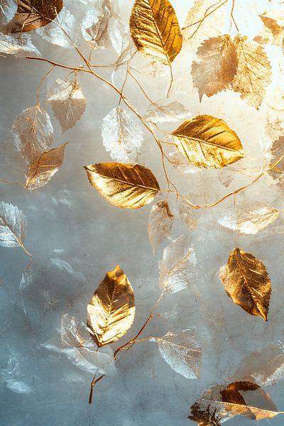 Golden autumn leaves on background by Imperial Art House