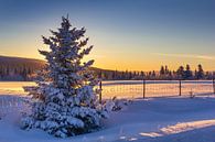 Winterabend in Norwegen von Adelheid Smitt Miniaturansicht