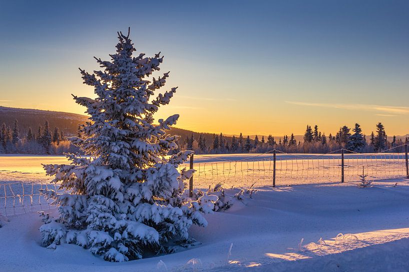 Winterabend in Norwegen von Adelheid Smitt