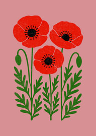 Red Poppies Bloom by Katarzyna Gąsiorowska