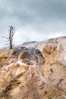 Gekleurde rotsen en dode boom in het Yellow Stone National Park.