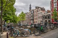 AMSTERDAM Bloemgracht   von Melanie Viola Miniaturansicht