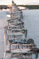 Wooden stakes on the beach of Ameland | Hollum