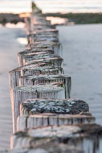 Houten palen op het strand van Ameland | Hollum van Dennis Lieffering