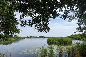 Ankeveen Lakes by Edwin Butter