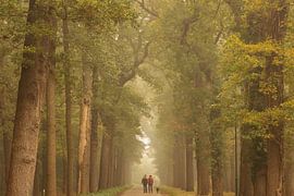 Hikers in the misty forest by KB Design & Photography (Karen Brouwer)