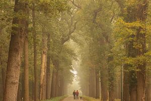 Wanderer im nebligen Wald