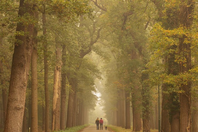 Wanderer im nebligen Wald von KB Design & Photography (Karen Brouwer)