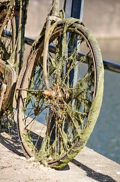 Een ouwe fiets van Frans Blok