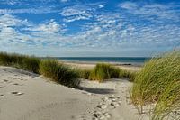 Plage de Renesse