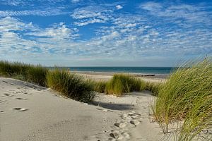 strand van Renesse van Claudia Moeckel