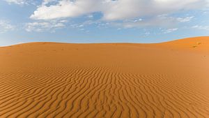 Voyage dans le désert du Sahara au Maroc sur Shanti Hesse