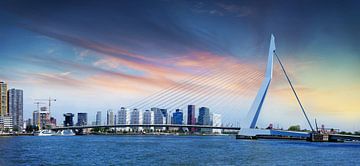 Rotterdam spectaculair uitzicht over de Erasmusbrug van Omni VR