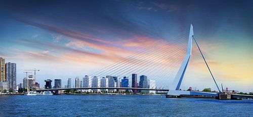 Rotterdam spectaculair uitzicht over de Erasmusbrug