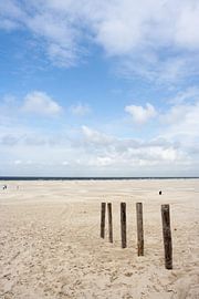Houten paaltjes op het strand van Terschelling