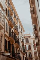 Palma de Mallorca's narrow street on a summer day