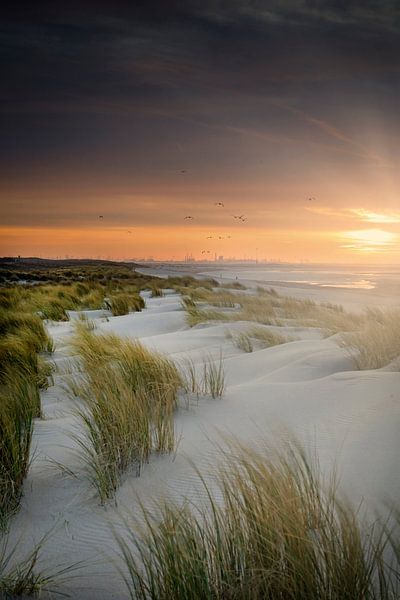 zonsondergang aan de kust van Nederland met de Europoort op de achtergrond van gaps photography