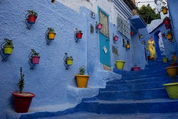 Kleur in Marokko, Andrei Nicolas - van 1x