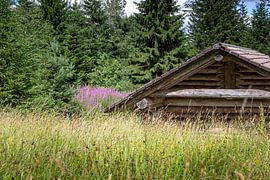 Berghütte von Thomas Heitz