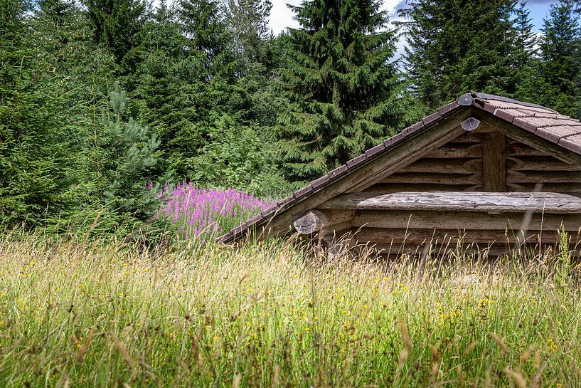 Mountain hut by Thomas Heitz