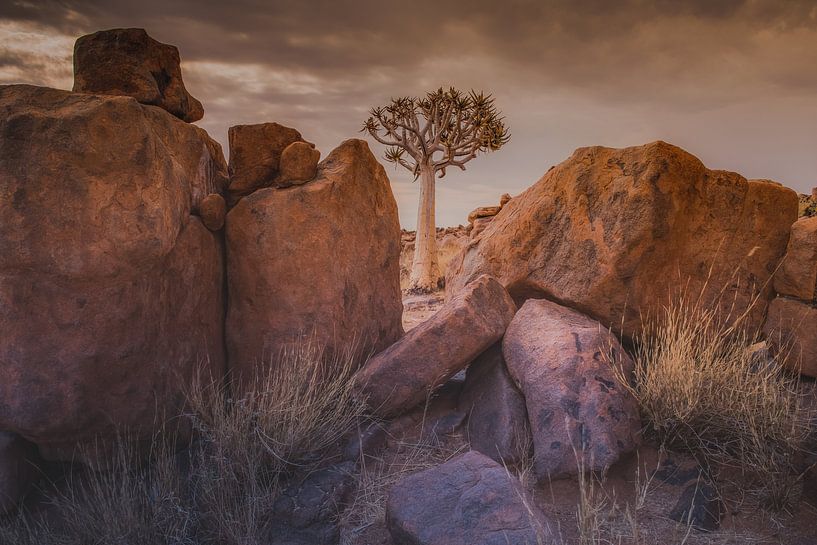 Giant's playground van Photowski
