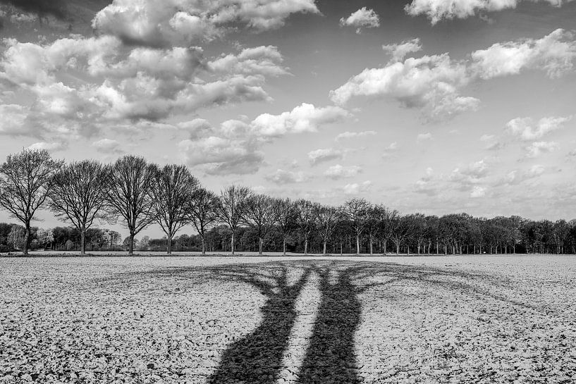 Schatten von Bäumen über Ackerland - schwarz-weiß von Karin de Jonge