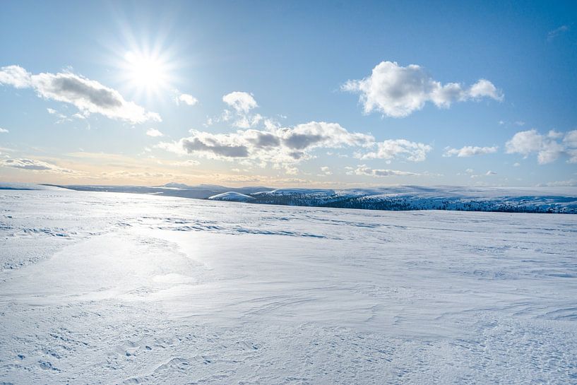 Uitzicht over de hoogvlakte van Zweden naar Noorwegen van Leo Schindzielorz