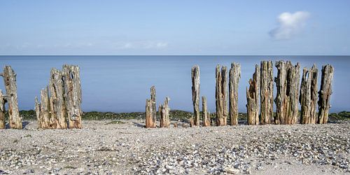 Golfbreker palen aan Waddenkust